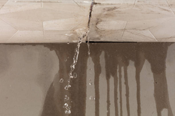 Professional Structural Drying technician working in Brownsboro, TX
